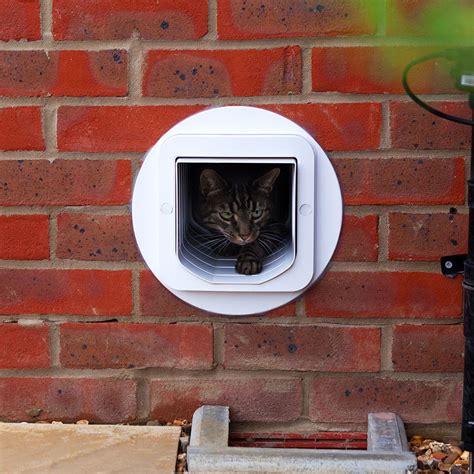 sureflap cat flap tunnel extender